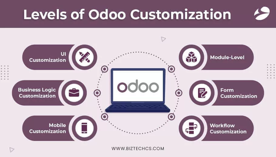Different Levels of Customization in Odoo ERP System